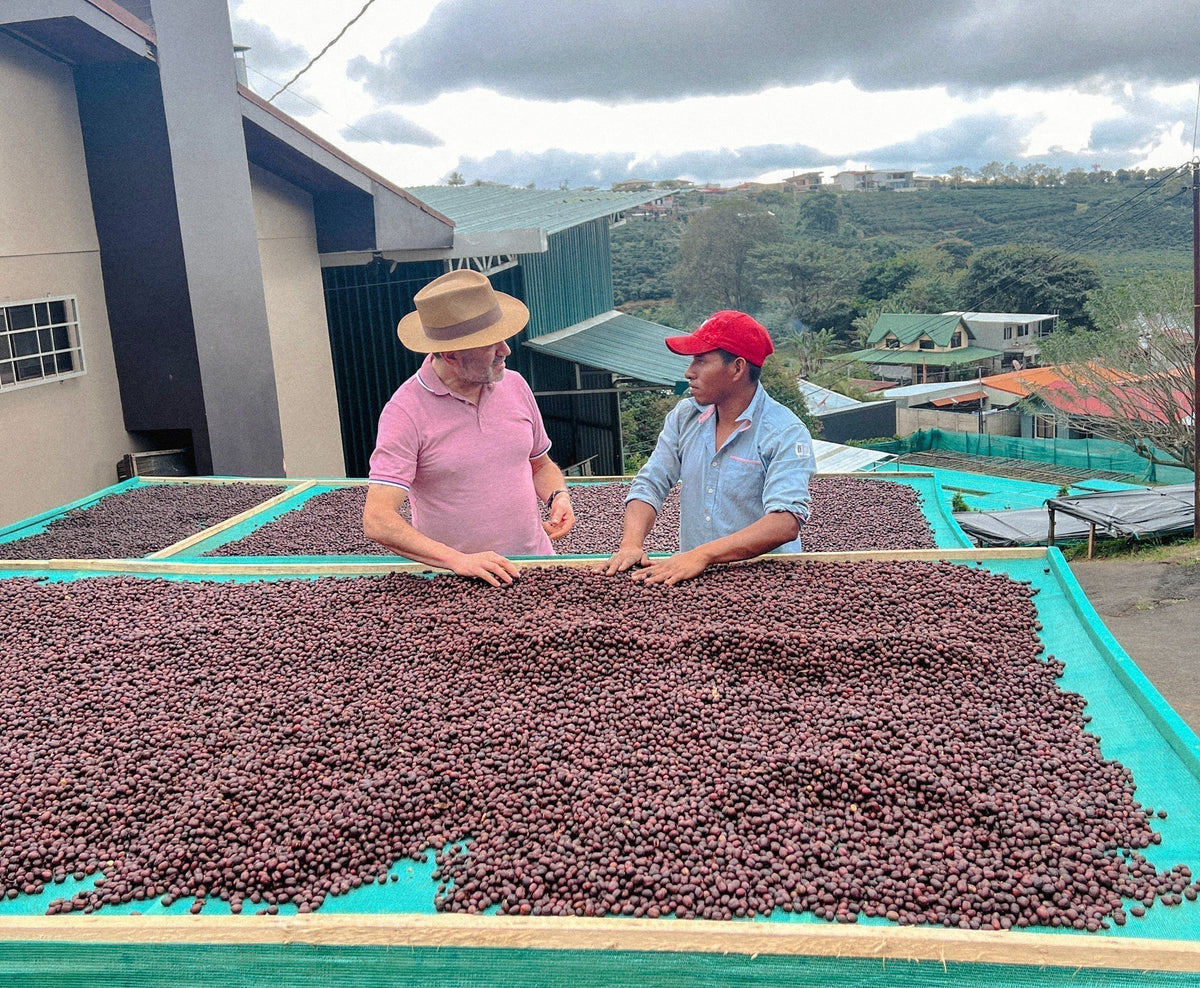 We're back from coffee origin! Get ready for some incredible new coffees!