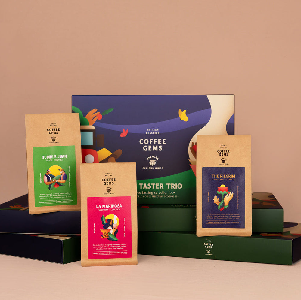 Taster Trio Collection - Espresso