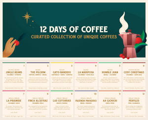 12 DAYS OF CHRISTMAS - LIMITED FESTIVE COLLECTION